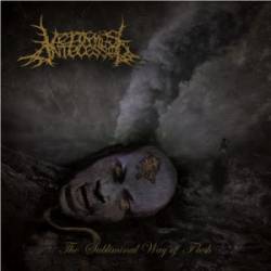 Vermis Antecessor : The Subliminal Way of Flesh